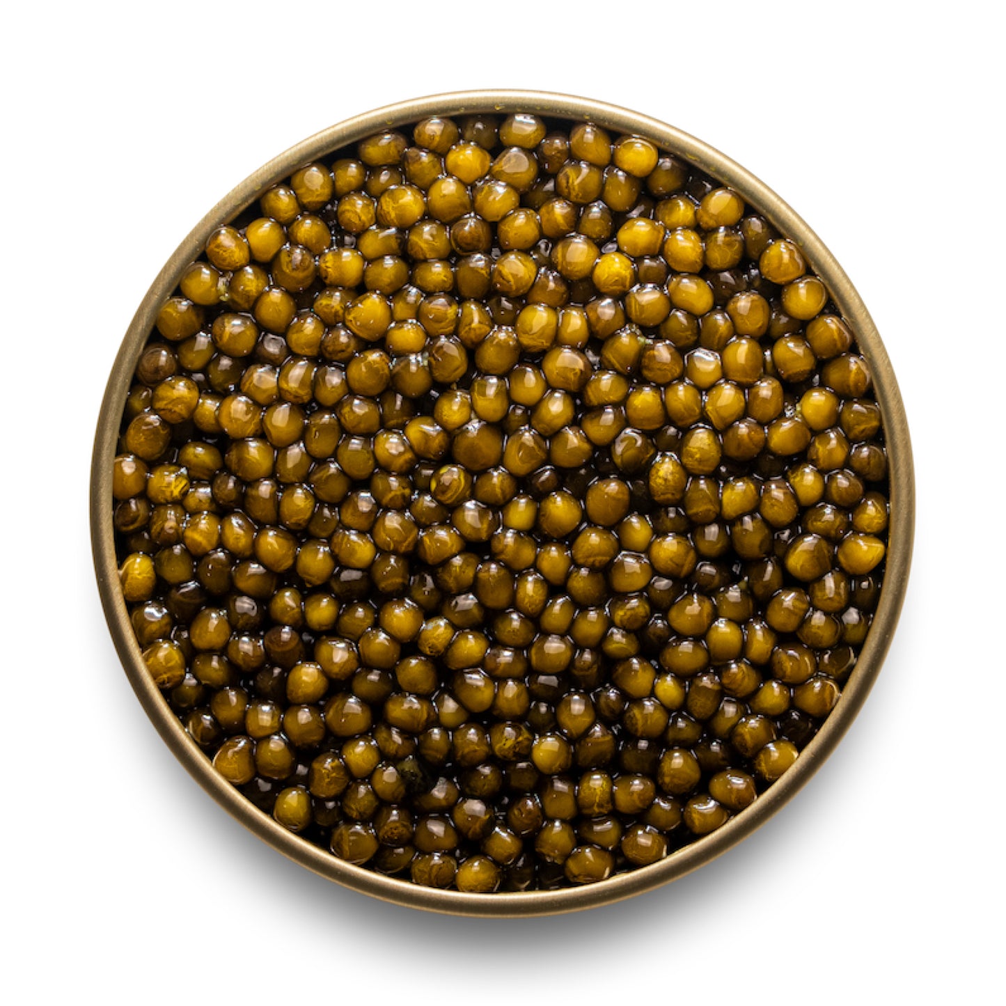 Kaluga Imperial Gold