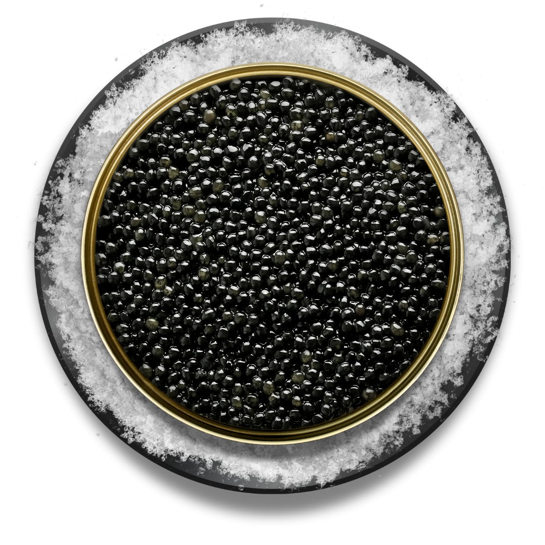 Siberian Sturgeon Caviar - Italy